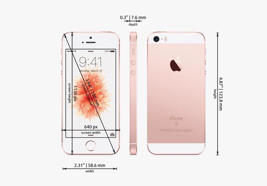 Apple iPhone SE dimensions